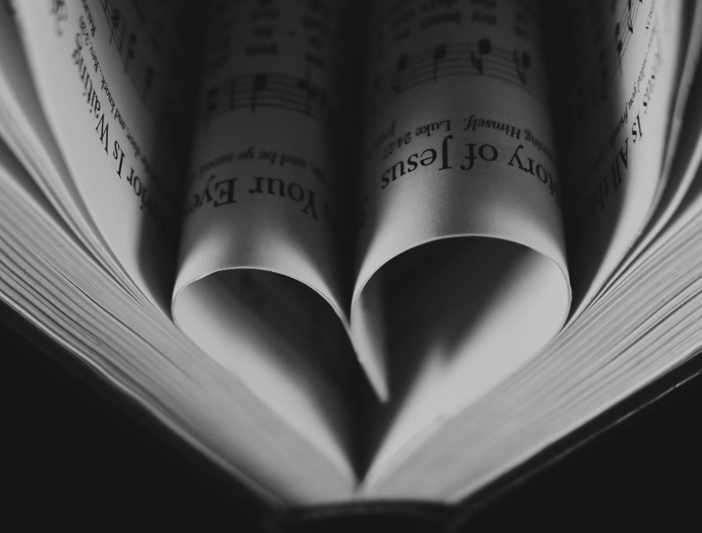 Support Our Mission (Donate)